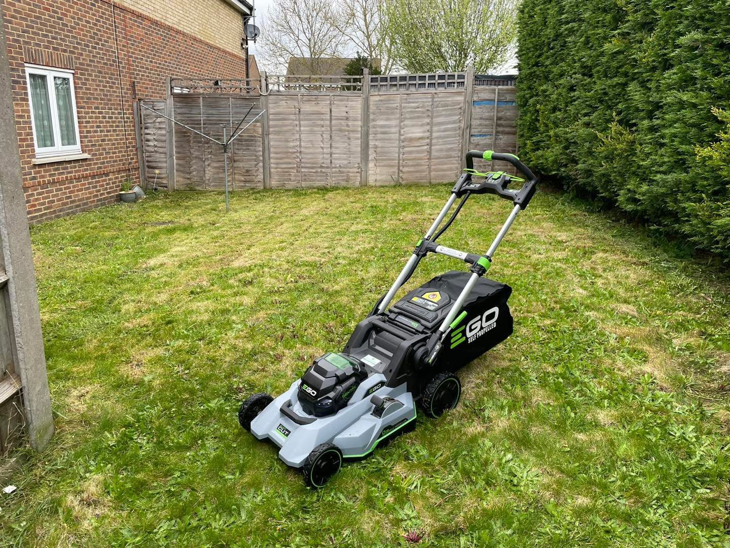 Freshly cut domestic garden lawn